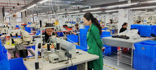 藍(lán)山委員提案助推產(chǎn)業(yè)大發(fā)展，央廣網(wǎng)聚焦社會(huì)經(jīng)濟(jì)咨詢服務(wù)