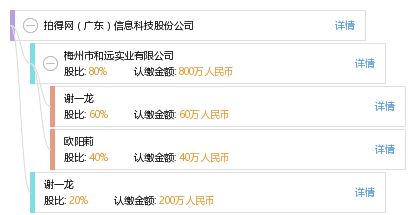 拍得網 廣東信息科技股份有限公司的網絡技術服務探索